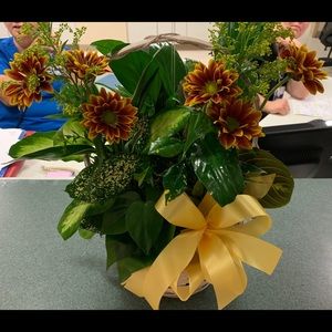 Meet your Posher, Nicholas